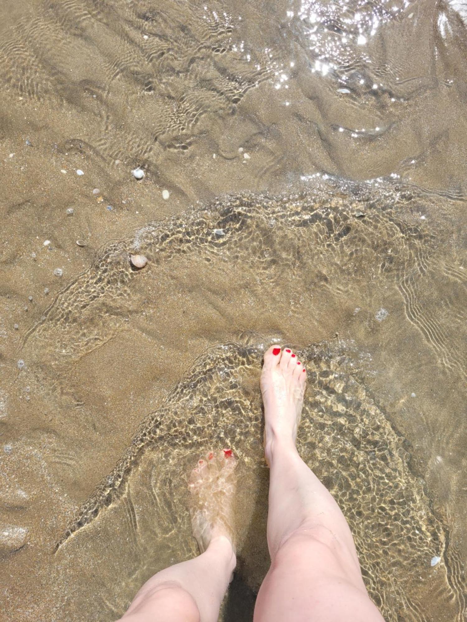 M2M Studio Magnifique Vue Mer - Avec Balcon - Les Pieds Dans L Eau! Blonville-sur-Mer Exterior photo